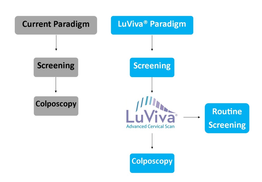 LuViva Paradigm update less color